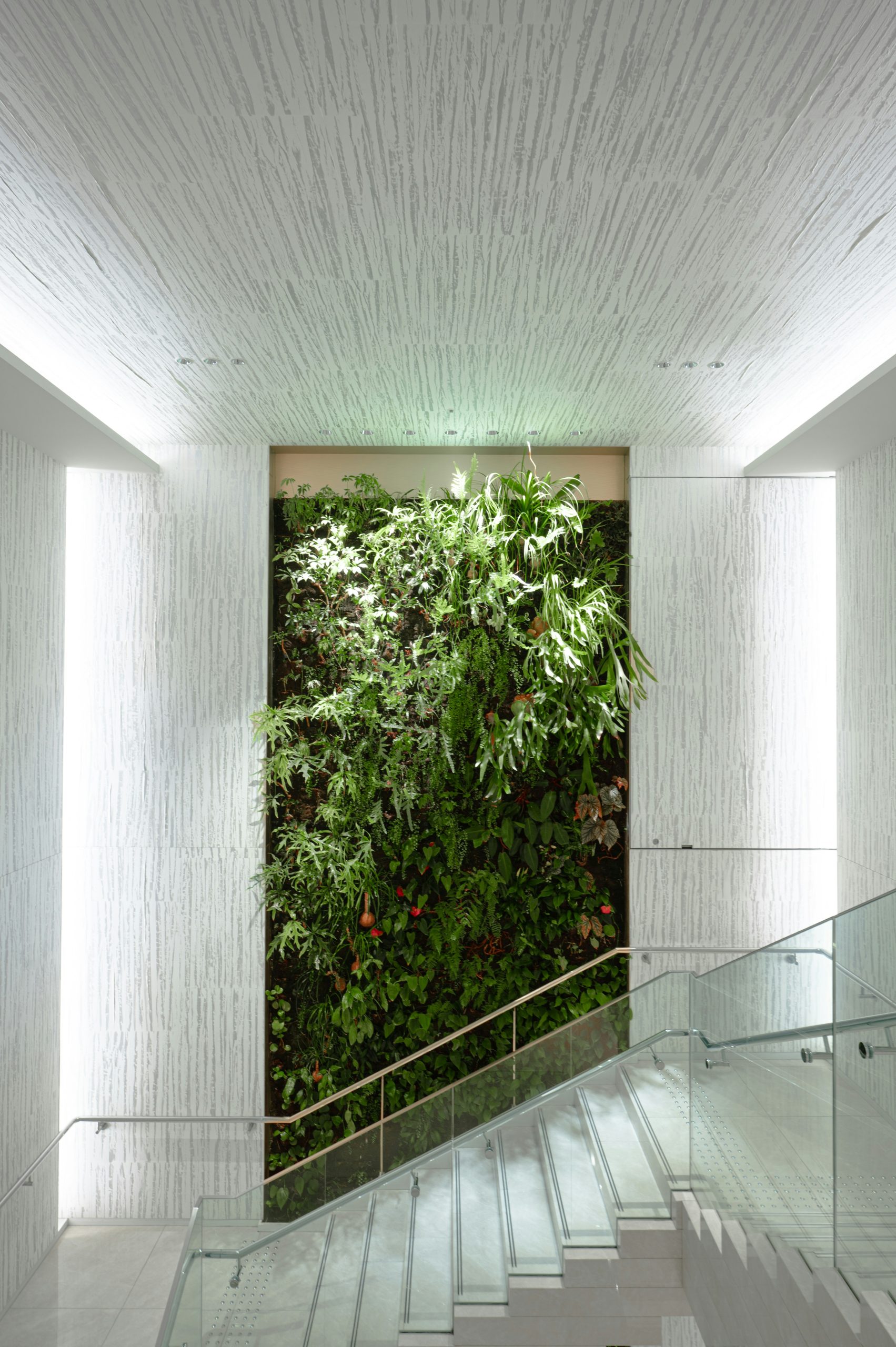 Elevating Form and Functional Beauty